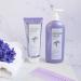 Clear Institute Purple Matte Mask Neutralises Unwanted Tones Purple Matte Mask Especially for Highlights Blondes and Grey 96.6% Natural Ingredients 200 ml - Buy Online on GoSupps.com