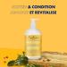 Shea Moisture Low Porosity Weightless Hydrating Conditioner with Grapeseed & Tea Tree Oils 384 ml - Buy Online on GoSupps.com