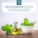 Fjorland Menthol Crystals 100g - Premium Sauna Infusions | 100% Natural Ingredients | Re-Lockable Can - International Shipping Available - Buy Online on GoSupps.com