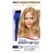 Clairol Root Touch-Up Permanent Hair Dye 8.5A Medium Champagne Blonde Hair Color 1 Count
