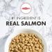 NUTRO Adult Dry Cat Food, Salmon & Brown Rice Recipe, 14 lb - Pack of 1 - Buy Online on GoSupps.com