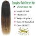 Senegalese Twist Crochet Hair 22 Inch Ombre Prelooped Braids for Black Women - 7 Packs (1B/30/27) - Buy Online on GoSupps.com