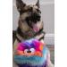GoDog Large Furballz Plush Pet Toy - Chew-Resistant & Durable Squeaker for Dogs & Puppies - Cool Rainbow Design - Multiple Styles & Sizes - Buy Online on GoSupps.com