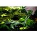 VORESTIC Aquarium Scissors Set 25cm - Premium Aquarium Accessories for Plant Care - Buy Online on GoSupps.com