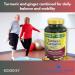 Turmeric Curcumin with Ginger Powder- 500mg Vegetarian Capsules 180ct (Pack of 2) Boxed by Fusion Shop Store - Buy Online on GoSupps.com