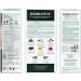Herbatint 4C Ash Chestnut Hair Dye - Natural and Ammonia-Free - Buy Online on GoSupps.com