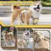 Multi-Purpose Dog Harness & Leash Set | Outbreak-Proof Anti-Train Harness for Small & Medium Dogs - Beige - Buy Online on GoSupps.com