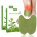 Pain relief patch pain relief patch 24 pieces of heat patch patch relieve knee Pain wellness pain relief patches natural wormwood knee patches for knees back neck sore muscles