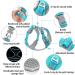 Plutus Pet No Pull Dog Harness - Cyan, Medium Size | Reflective & Adjustable Dog Vest with Easy Control Handle | Perfect for Walking Small, Medium, Large Dogs - Buy Online on GoSupps.com
