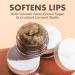 Kopari Coconut Lip Scrubby - Exfoliating Lip Scrub with Volcanic Sand, Brown Sugar & Coconut Shells for Soft Lips | Moisturizing Organic Lip Exfoliator with Coconut Oil & Vanilla - Vegan - Buy Online on GoSupps.com