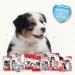 BEAPHAR Dental Care Set for Puppies - Liver Flavor Toothbrush & Toothpaste - Ideal Puppy Oral Hygiene (1 Piece + 50g) - Buy Online on GoSupps.com