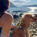 Max & Molly H-Dishes - Kiwi Design | Premium Quality Pet Bowls for International Shipping - Buy Online on GoSupps.com