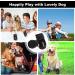 Dog Boots Paw Protectors - Large Dog Shoes for Winter Snow - Extra Large Booties for Outdoor/Running/Hiking - Non-Slip Straps - 4Pcs (Black, Size 6) - Buy Online on GoSupps.com