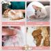 Buy Wllhyf Cat Recreational Suit | Breathable Cat Dividers for Post-Op Comfort | Soft Anti-Losing Spray Suit for Wounds & Skin Diseases - Buy Online on GoSupps.com