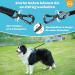 Buy Aystkniet Bungee Tow Leash for Dogs - Shock-Absorbing Padded Handle Reflective Lockable Hooks - 3m to 20m Options for Medium & Large Dogs - Buy Online on GoSupps.com