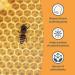 Organika Bee Propolis Throat Spray - Natural Immune Support & Sore Throat Relief - Gluten Free Antioxidant Supplement - 30ml - Buy Online on GoSupps.com