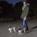 Flexi attachment LED Lighting System Black for dog walking - Buy Online on GoSupps.com