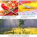 10PCS Stainless Steel Palette Knife Set for Oil, Canvas, Acrylic Painting - CUALORK - Buy Online on GoSupps.com