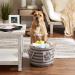 Bone Dry Small Round Gray Striped Paw Patch Pet Storage Bin - Buy Online on GoSupps.com