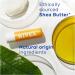 NIVEA Sun Protect Caring Lip Balm (4.8g) with Shea Butter and SPF 30 - UVA/UVB Protection, 24H Moisture - Buy Online on GoSupps.com