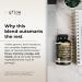 gflow vitamins Ginkgo Biloba Alpha GPC Supplement with Panax Ginseng L Tyrosine with L Theanine Bacopa monnieri Rhodiola Rosea Phosphatidylserine B12 MCT DMAE - Complex | Made in USA - Buy Online on GoSupps.com