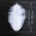 Natural White Ostrich Feathers 10-12inch - Pack of 12 for Wedding & Party Centerpieces - Easter Carnival Decor & Flower Arrangement - Home Decorations - White Feathers - Buy Online on GoSupps.com