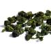 Tie Guan Yin Oolong Tea 125g Caddy - Iron Buddha Iron Goddess of Mercy - Buy Online on GoSupps.com
