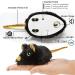 Vealind Interactive Electric Cat Toy - Feather Tail Play Mouse with USB (Black) | Engaging Fun for Cats - Buy Online on GoSupps.com