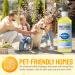 AQUAFORCE Pet Odour Eliminator Spray Strong Enzyme Odour Bacteria Eating Deodoriser & Dog Urine Neutraliser | Pet Odour Remover | Smells from Carpet Upholstery - Buy Online on GoSupps.com