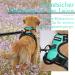 Rabbitgoo Medium Dog Harness - No Pull Adjustable Breathable Control Harness for Large Dogs - Reflex Stripes Safe Guide in Mint Green (1 Pack) - Buy Online on GoSupps.com