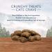 Blue Buffalo Wilderness Grain-Free Chicken Cat Treats - 12oz (1 Pack) - Buy Online on GoSupps.com