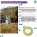 Buy MENFORSAN Pack of 4 Anti-Insect Cat Collars - Natural Margosa Geraniol & Lavandino - International Shipping Available - Buy Online on GoSupps.com