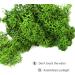 TKOnline 4 oz Preserved Green Moss for Fairy Gardens, Potted Plants, DIY Crafts, Floral Projects, Weddings - Buy Online on GoSupps.com