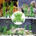 Buy WZTCIBUR Aquarium Plants - 10 Artificial Green Decorations | Safe for Fish | Perfect for Aquariums - Buy Online on GoSupps.com