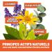 FITOATTIVI Arnica Oil Very Strong for Relaxing and Relaxing Massages Ideal for Muscle Tensions and Sports with Warming Camph - Buy Online on GoSupps.com