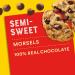 Nestle Toll House Semi-Sweet Chocolate Morsels 6 oz - Pack of 1 - Buy Online on GoSupps.com