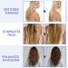 S rum de Vitamin pour Cheveux Secs et Abim s Capsules de S rum de Traitement Capillaire avec Huile Argan Huile Avocat Vitamine A C E Pro Vit.B5 pour R parer et Soin des Cheveux - 40 Bleu - Buy Online on GoSupps.com