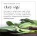 Nikura Clary Sage Essential Oil - 30ml | 100% Pure Natural Oils | Sleep Aromatherapy Diffusers | Vegan, UK Made - Buy Online on GoSupps.com