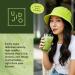 Ujido The Path of Zen M lange de c r monie en poudre de th vert matcha japonais (118 ml) - Buy Online on GoSupps.com