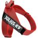 Julius-K9 2XL/3 Red-Grey Belt Harness | Premium Color & Gray Dog Harness for Ultimate Comfort | International Shipping Available - Buy Online on GoSupps.com