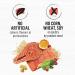 Beyond Simply Natural Dry Cat Food Salmon & Whole Brown Rice - 2.72 kg Bag 2.72 kg (Pack of 1) - Buy Online on GoSupps.com