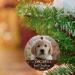 Personalized Dog's First Christmas Photo Ornament | Custom Pet Memorial Gift 2022 - Buy Online on GoSupps.com