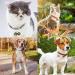 DARENYI 4 Pcs Dog Cat Collar Bells Pet Tracker Brass Bell Dog Tracker Metal Bells Small Bells for Pet Collars Anti-Lost Training Bells - Buy Online on GoSupps.com