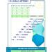 Aqua Speed Girls' UV Protection Bathing Suit | Chlorine Resistant One-Piece 104-158 | Opaque & Anti-Pilling | Blue-Turquoise-Light Green 28 - Buy Online on GoSupps.com