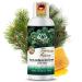 Nordholz sauna infusion choose from 48 varieties 100ml - sauna infusion agent #12 fir honey Special & natural sauna fragrance for intensive & relaxing moments - perfect sauna accessories