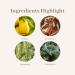 Young Living Thieves Essential Oil Blend 15ml - Immune Support & Cleansing | 100% Pure Therapeutic Grade - Buy Online on GoSupps.com