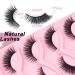 Losha Lashes Cat Eye 02 - Wispy & Natural Look Reusable Soft False Eyelashes | 5 Pairs Luxury Fake Eyelashes for International Shipping - Buy Online on GoSupps.com