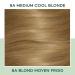 Clairol Natural Instincts 8A Medium Cool Blonde Demi-Permanent Hair Dye - 5.85 Fl Oz - Buy Online on GoSupps.com