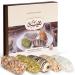 Medjool dates stuffed with dried fruits and coated with white chocolate 500g I Vegan, gluten free, preservative free I elegan
