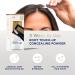 Clairol Root Touch-Up Temporary Concealing Powder Blonde Hair Color 0.07 oz (Pack of 2) - 1 Count | Blonde Root Touch Up Kit - Buy Online on GoSupps.com